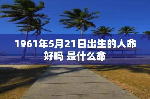 1961年5月21日出生的人命好吗 是什么命