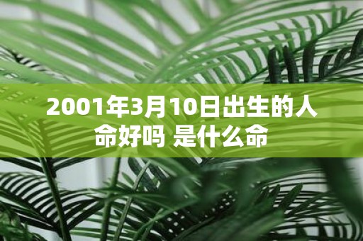 2001年3月10日出生的人命好吗 是什么命
