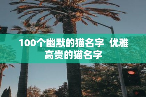 100个幽默的猫名字 优雅高贵的猫名字