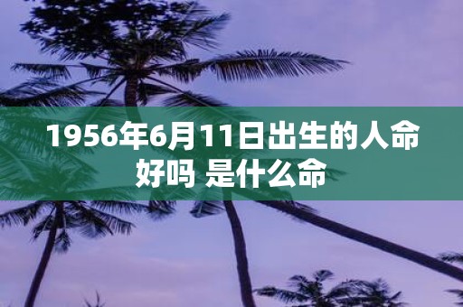 1956年6月11日出生的人命好吗 是什么命