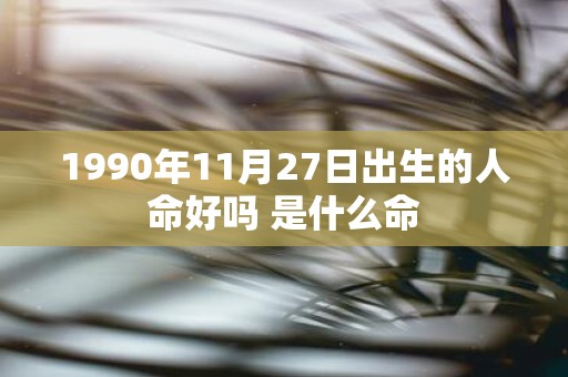 1990年11月27日出生的人命好吗 是什么命