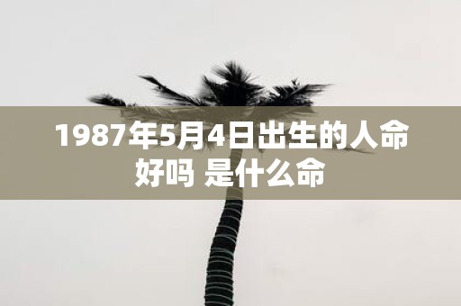 1987年5月4日出生的人命好吗 是什么命