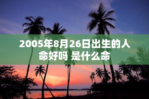 2005年8月26日出生的人命好吗 是什么命