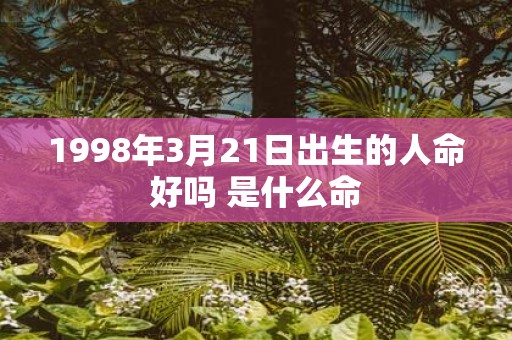 1998年3月21日出生的人命好吗 是什么命