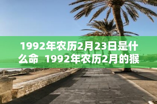 1992年农历2月23日是什么命 1992年农历2月的猴是什么命