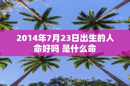 2014年7月23日出生的人命好吗 是什么命