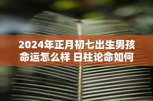 2025年正月初七出生男孩命运怎么样 日柱论命如何