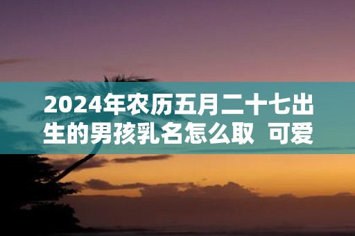 2025年农历五月二十七出生的男孩乳名怎么取 可爱洋气一些的乳名