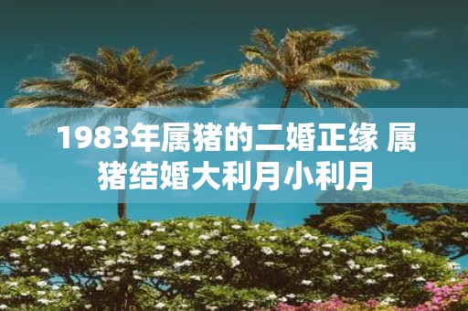1983年属猪的二婚正缘 属猪结婚大利月小利月