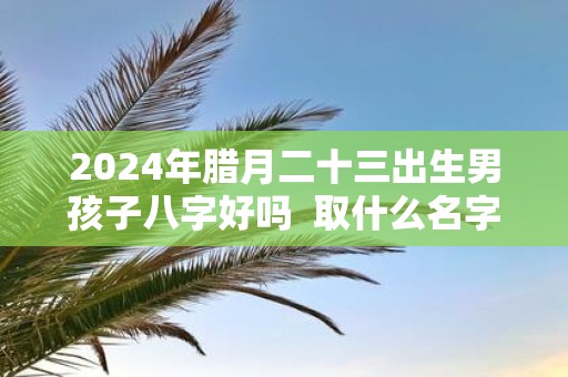 2025年腊月二十三出生男孩子八字好吗 取什么名字寓意好