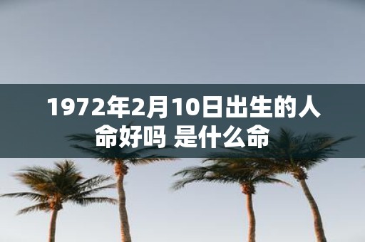 1972年2月10日出生的人命好吗 是什么命