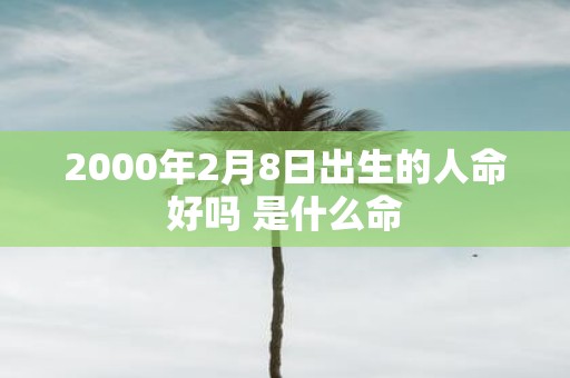 2000年2月8日出生的人命好吗 是什么命