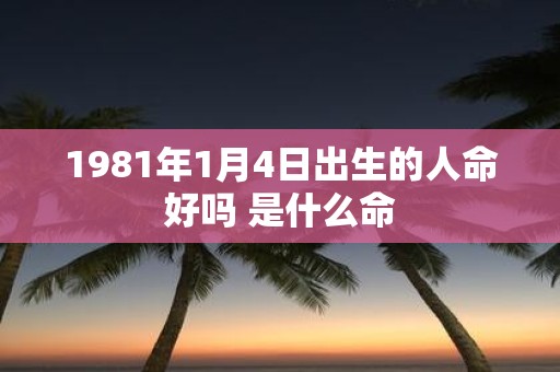 1981年1月4日出生的人命好吗 是什么命