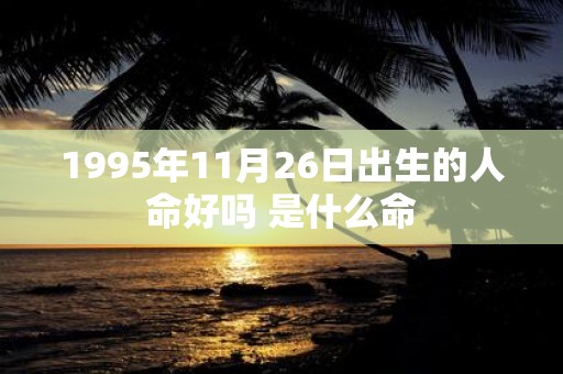 1995年11月26日出生的人命好吗 是什么命