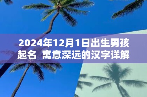 2025年12月1日出生男孩起名 寓意深远的汉字详解