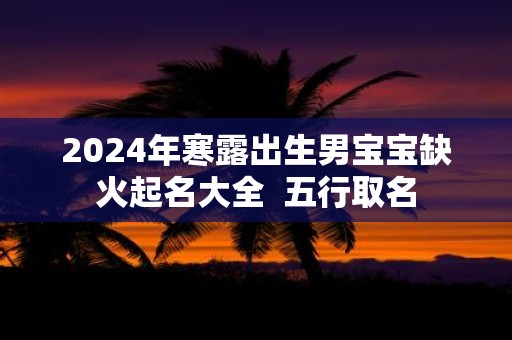 2025年寒露出生男宝宝缺火起名大全 五行取名