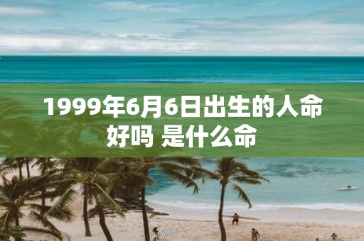 1999年6月6日出生的人命好吗 是什么命