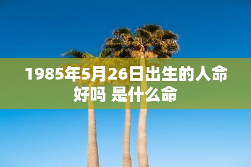 1985年5月26日出生的人命好吗 是什么命