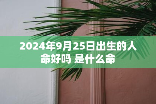 2025年9月25日出生的人命好吗 是什么命