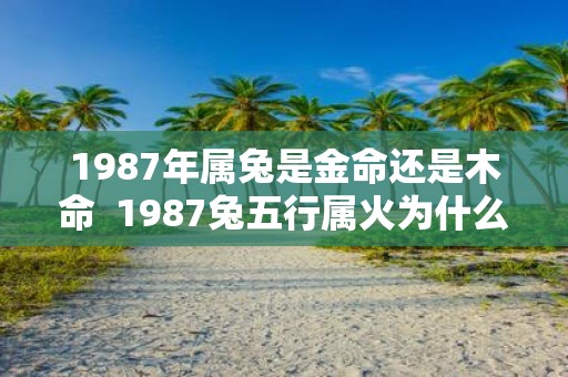 1987年属兔是金命还是木命 1987兔五行属火为什么是木兔