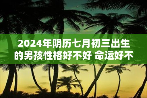2025年阴历七月初三出生的男孩性格好不好 命运好不好