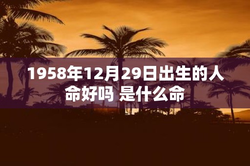 1958年12月29日出生的人命好吗 是什么命