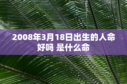 2008年3月18日出生的人命好吗 是什么命