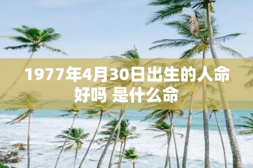 1977年4月30日出生的人命好吗 是什么命