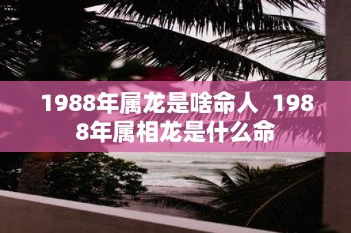 1988年属龙是啥命人 1988年属相龙是什么命