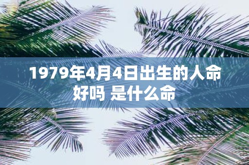 1979年4月4日出生的人命好吗 是什么命