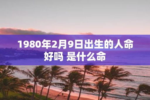 1980年2月9日出生的人命好吗 是什么命