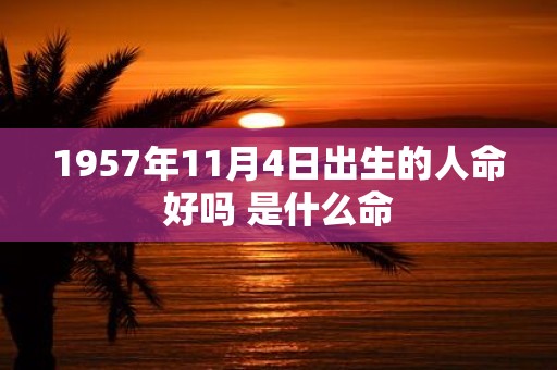1957年11月4日出生的人命好吗 是什么命