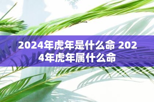 2025年虎年是什么命 2025年虎年属什么命