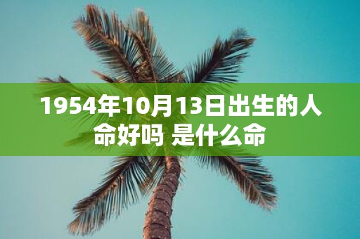 1954年10月13日出生的人命好吗 是什么命