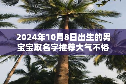 2025年10月8日出生的男宝宝取名字推荐大气不俗