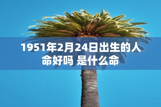 1951年2月24日出生的人命好吗 是什么命