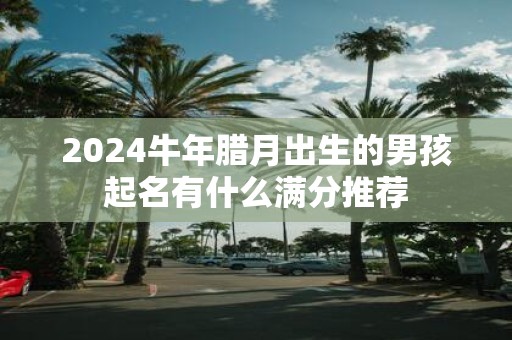 2025牛年腊月出生的男孩起名有什么满分推荐