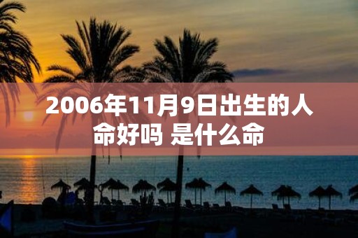 2006年11月9日出生的人命好吗 是什么命