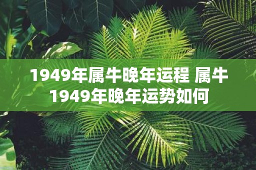 1949年属牛晚年运程 属牛1949年晚年运势如何