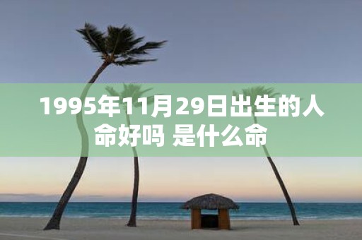 1995年11月29日出生的人命好吗 是什么命