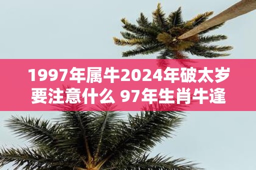 1997年属牛2025年破太岁要注意什么 97年生肖牛逢蛇年运气如何