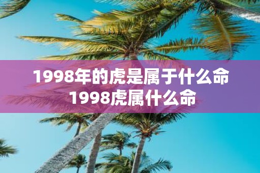 1998年的虎是属于什么命 1998虎属什么命