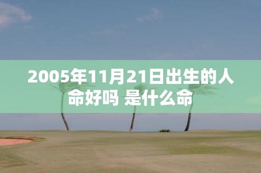 2005年11月21日出生的人命好吗 是什么命