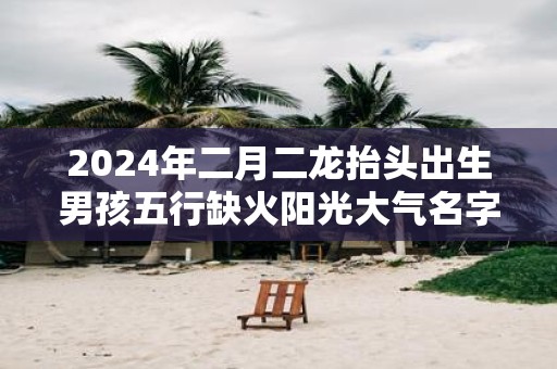 2025年二月二龙抬头出生男孩五行缺火阳光大气名字