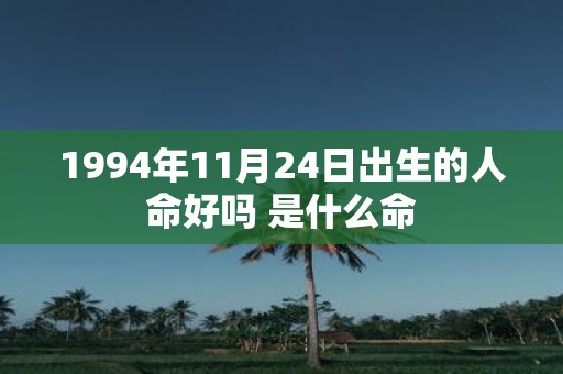 1994年11月24日出生的人命好吗 是什么命
