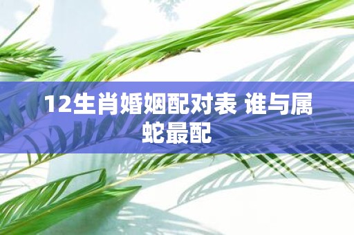 12生肖婚姻配对表 谁与属蛇最配