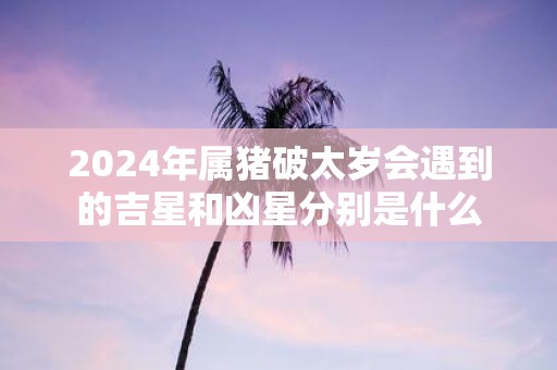 2025年属猪破太岁会遇到的吉星和凶星分别是什么