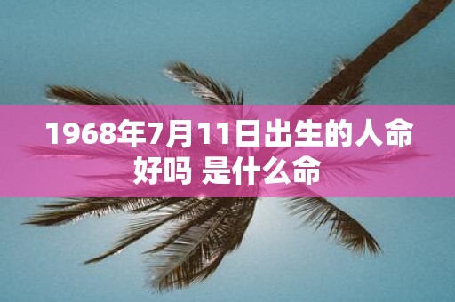1968年7月11日出生的人命好吗 是什么命
