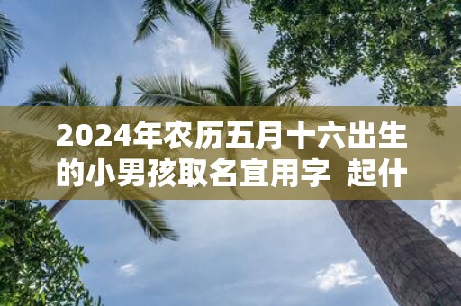 2025年农历五月十六出生的小男孩取名宜用字 起什么名字寓意佳