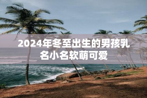 2025年冬至出生的男孩乳名小名软萌可爱